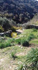 Αγροτεμάχια 14.000 τ.μ. για πώληση, Κυκλάδες, Κέα-thumb-17