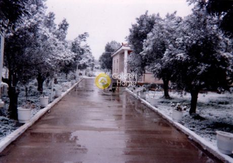 Μονοκατοικία 136τ.μ. για πώληση-Κορωπί » Καρελλάς
