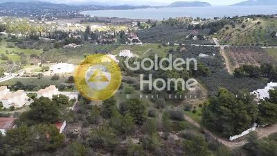 Οικόπεδο 4.130τ.μ. για πώληση-Κρανίδι » Πετροθάλασσα
