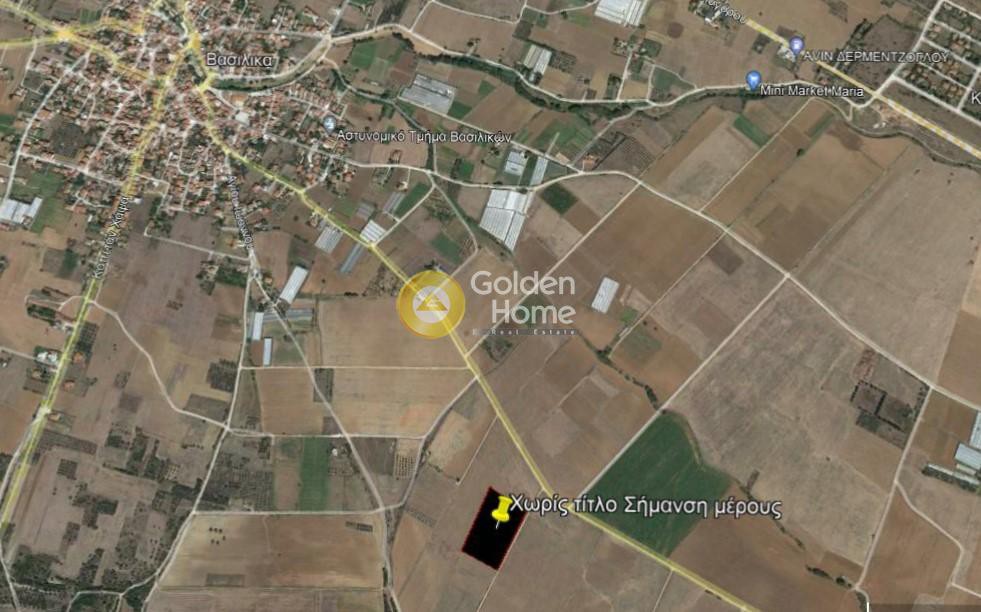 Αγροτεμάχια 7.557 τ.μ. προς πώληση, Αγία Αναστασία Ανθεμούντα