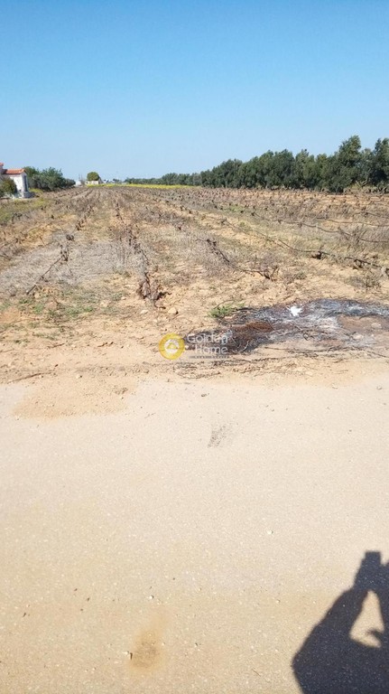 Αγροτεμάχια 3.000 τ.μ. προς πώληση, Σπαρόζα