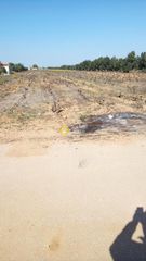 Αγροτεμάχια 3.000 τ.μ. για πώληση
