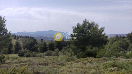 Οικόπεδο 9.700τ.μ. για πώληση-Κ. καπανδριτίου » Μικροχώρι