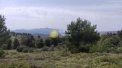 Οικόπεδο 9.700τ.μ. για πώληση-Κ. καπανδριτίου » Μικροχώρι