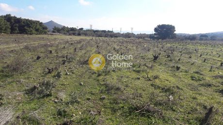 Οικόπεδο 3.500τ.μ. για πώληση-Κερατέα » Μαρκάτι