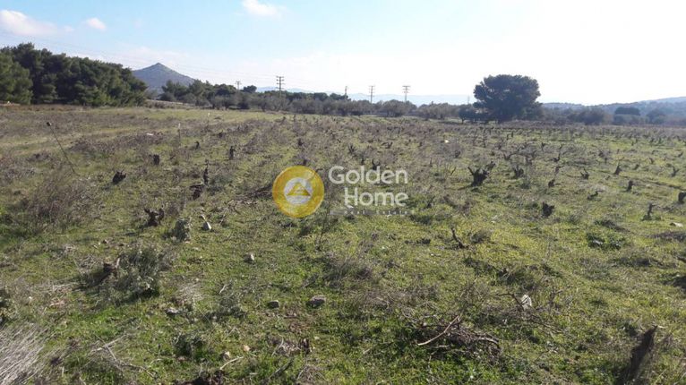 Οικόπεδο 3.500 τ.μ. για πώληση, Αττική - Υπόλοιπο, Κερατέα