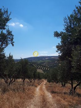Οικόπεδο 1.045 τ.μ. για πώληση