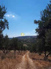 Οικόπεδο 1.045 τ.μ. για πώληση
