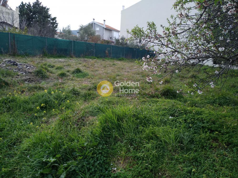 Αγροτεμάχια 225 τ.μ. προς πώληση, Άγιος Νικόλαος Παλλήνης