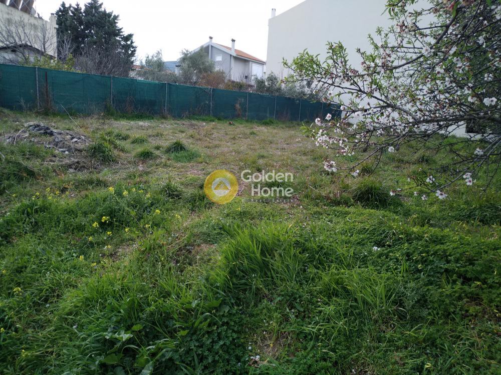 Αγροτεμάχια 225 τ.μ. προς πώληση, Άγιος Νικόλαος Παλλήνης