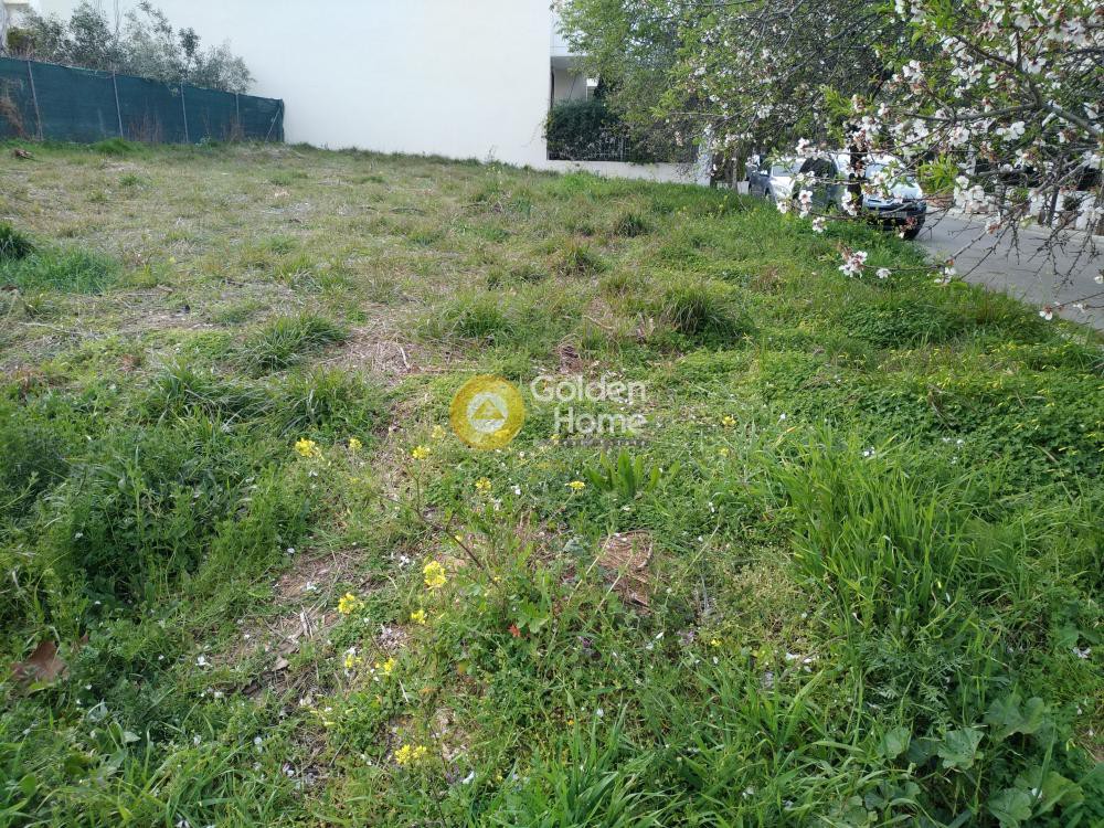 Αγροτεμάχια 225 τ.μ. προς πώληση, Άγιος Νικόλαος Παλλήνης