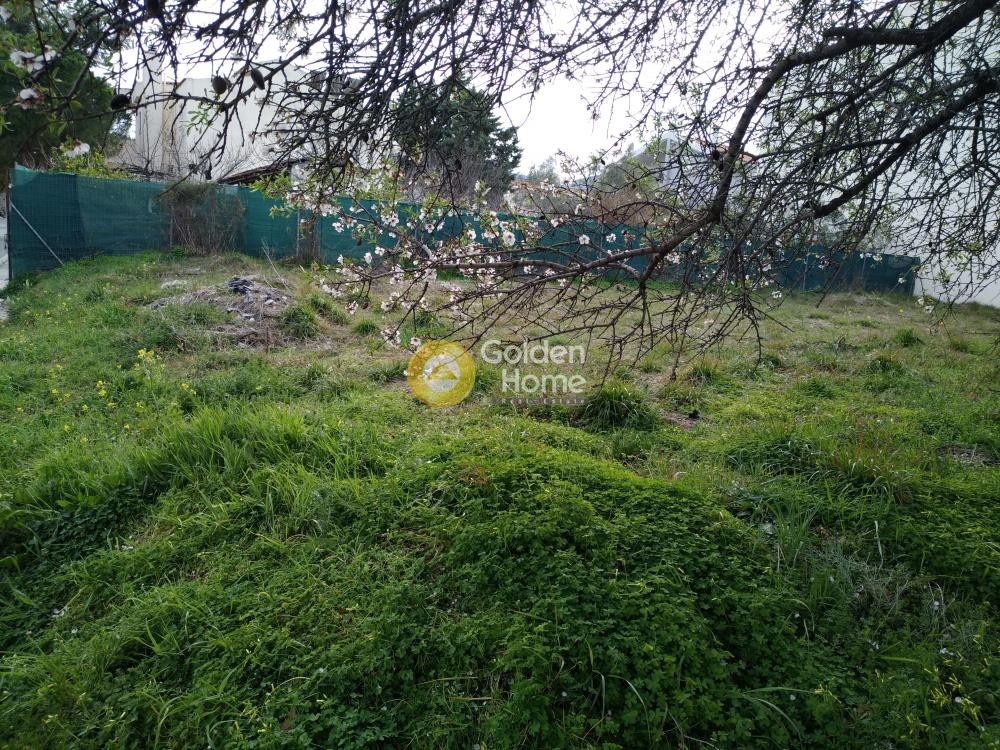 Αγροτεμάχια 225 τ.μ. προς πώληση, Άγιος Νικόλαος Παλλήνης