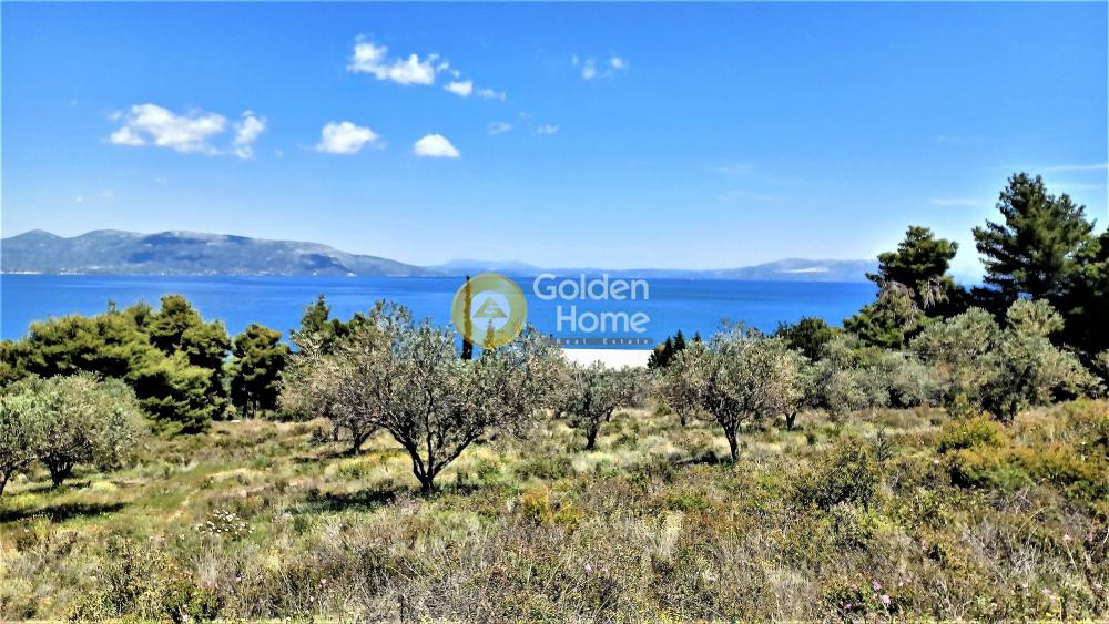 Οικόπεδο 11.041 τ.μ. προς πώληση, Άγιοι Απόστολοι Καλάμου
