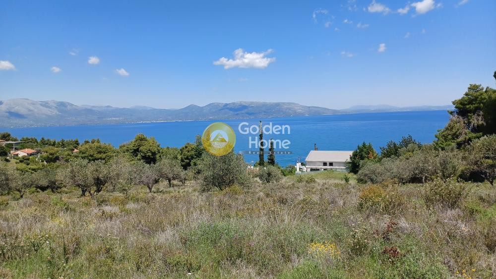 Οικόπεδο 11.041 τ.μ. προς πώληση, Άγιοι Απόστολοι Καλάμου