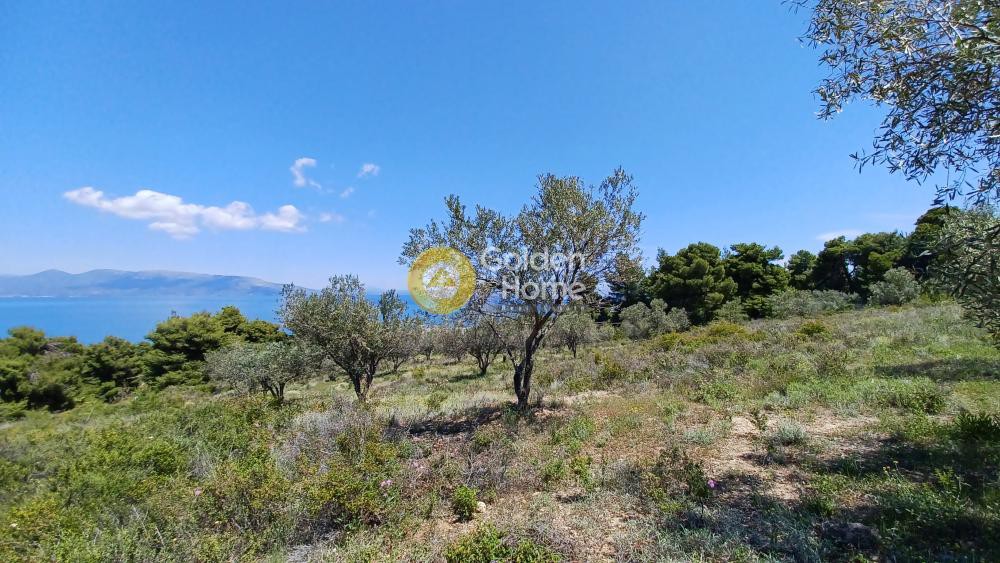 Οικόπεδο 11.041 τ.μ. προς πώληση, Άγιοι Απόστολοι Καλάμου