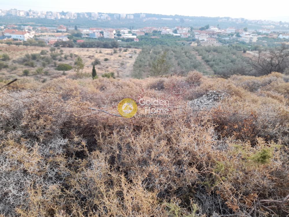 Αγροτεμάχια 431 τ.μ. προς πώληση, Άνω Καμάρι