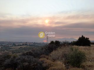 Αγροτεμάχια 431 τ.μ. για πώληση