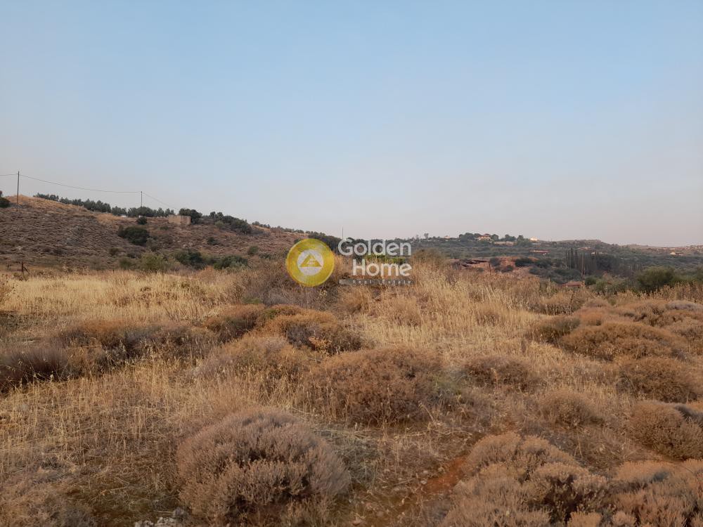 Αγροτεμάχια 431 τ.μ. προς πώληση, Άνω Καμάρι