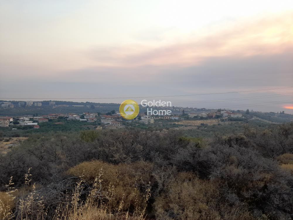 Αγροτεμάχια 431 τ.μ. προς πώληση, Άνω Καμάρι