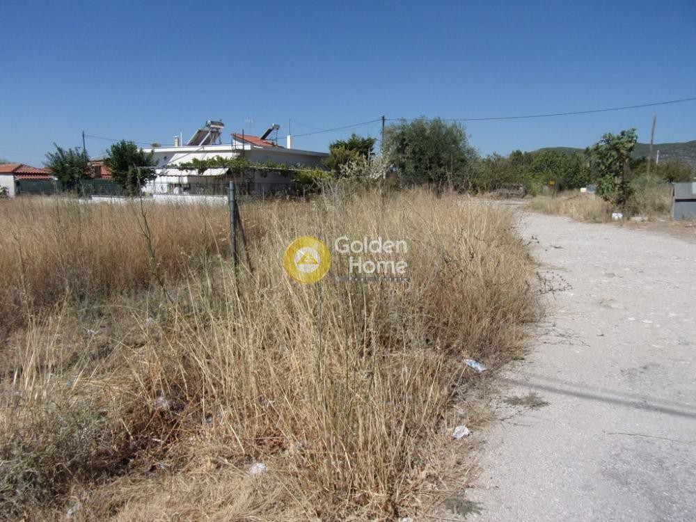 Αγροτεμάχια 578 τ.μ. προς πώληση, Μεγάλα Σχοινία Β