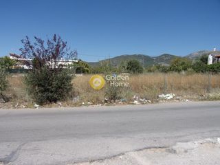Αγροτεμάχια 578 τ.μ. για πώληση
