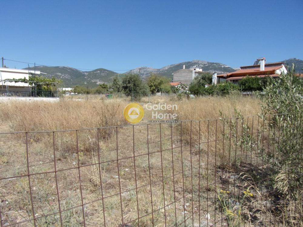 Αγροτεμάχια 578 τ.μ. προς πώληση, Μεγάλα Σχοινία Β