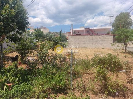 Οικόπεδο 279τ.μ. για πώληση-Αχαρνές » Νέο νεκροταφείο αχαρνών