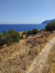 Οικόπεδο 4.500 τ.μ. για πώληση, Ν. Λασιθίου, Σητεία-thumb-2