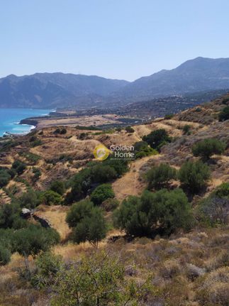 Οικόπεδο 4.500 τ.μ. για πώληση, Ν. Λασιθίου, Σητεία