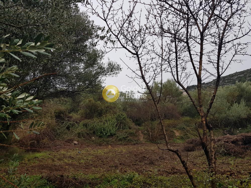 Οικόπεδο 381 τ.μ. προς πώληση, Πανόραμα Άνω Λιοσίων