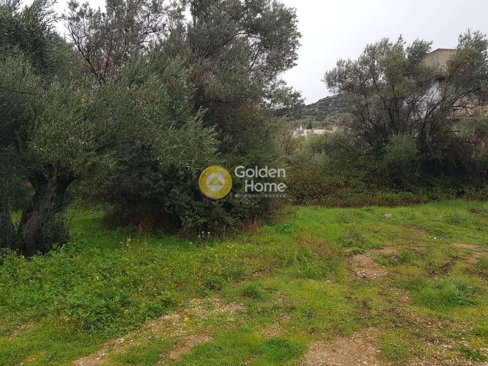 Οικόπεδο 381 τ.μ. προς πώληση, Πανόραμα Άνω Λιοσίων