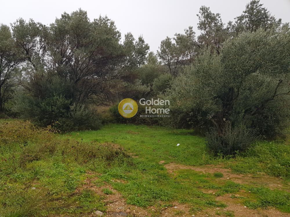 Οικόπεδο 381 τ.μ. προς πώληση, Πανόραμα Άνω Λιοσίων