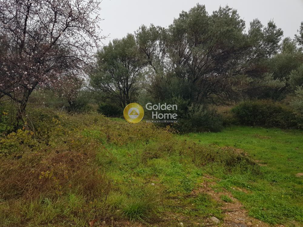 Οικόπεδο 381 τ.μ. προς πώληση, Πανόραμα Άνω Λιοσίων