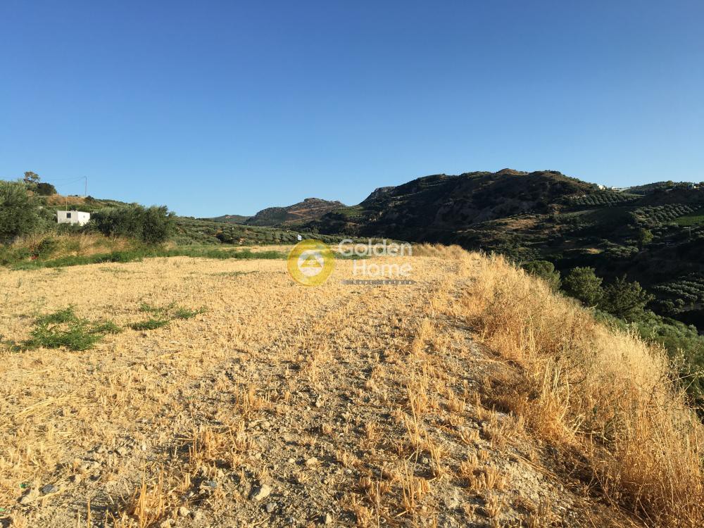 Οικόπεδο 7.350 τ.μ. προς πώληση, Χάνι