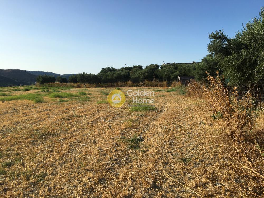 Οικόπεδο 7.350 τ.μ. προς πώληση, Χάνι