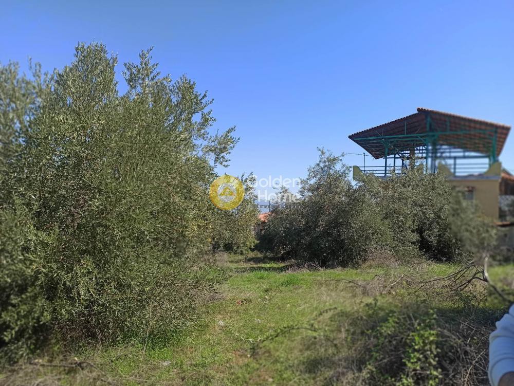 Αγροτεμάχια 4.080 τ.μ. προς πώληση, Πλάτανος Βόρειας Κυνουρίας