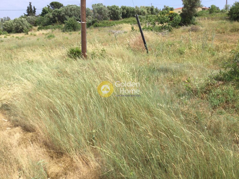 Αγροτεμάχια 5.850 τ.μ. προς πώληση, Νέα Φώκαια Κασσάνδρας