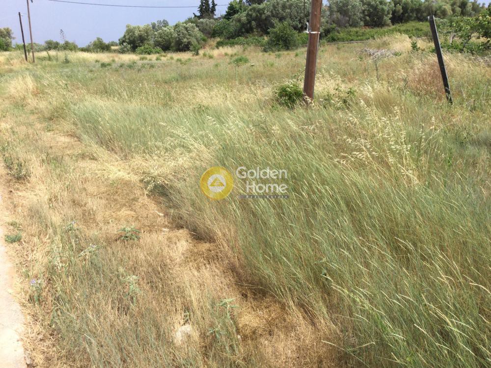 Αγροτεμάχια 5.850 τ.μ. προς πώληση, Νέα Φώκαια Κασσάνδρας
