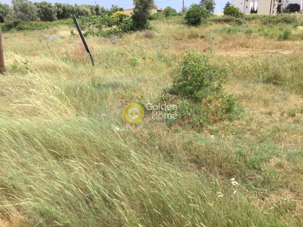 Αγροτεμάχια 5.850 τ.μ. προς πώληση, Νέα Φώκαια Κασσάνδρας