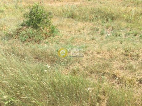 Parcel 5.850sqm for sale-Kassandra » Nea Fokaia