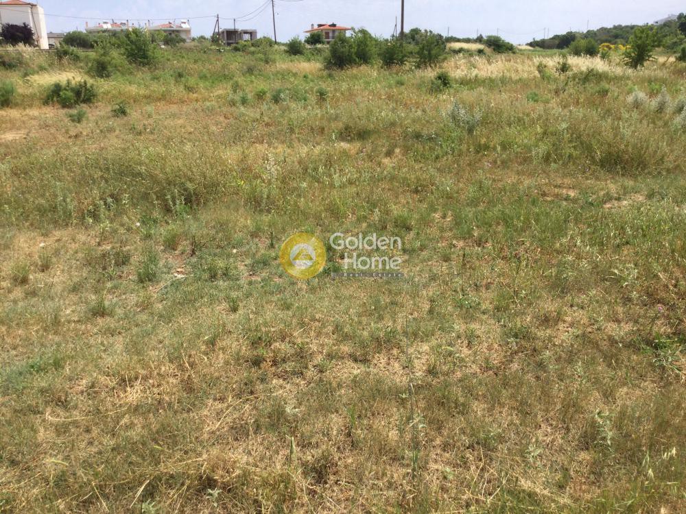 Αγροτεμάχια 5.850 τ.μ. προς πώληση, Νέα Φώκαια Κασσάνδρας