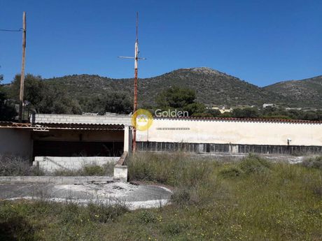 Land plot 3.492sqm for sale-Kalivia Thorikou » Κέντρο