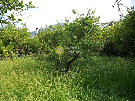 Land plot 350sqm for sale-Diakopto » Rodia