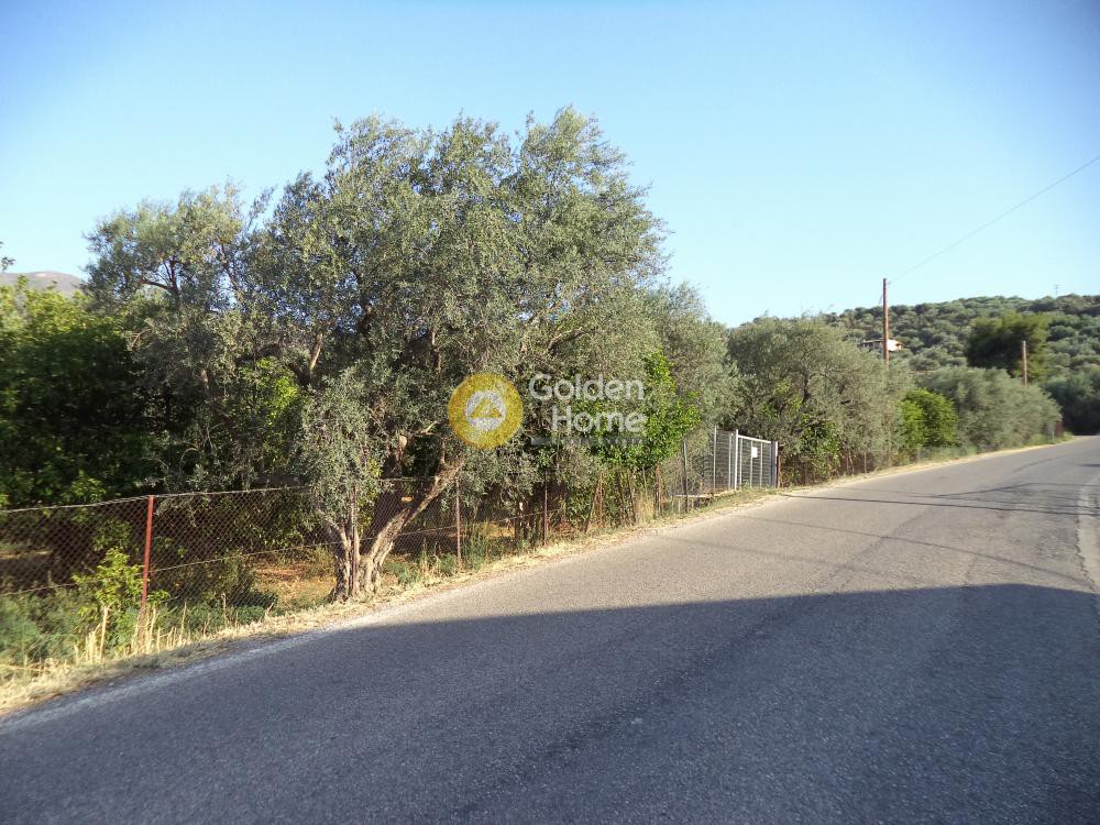 Αγροτεμάχια 7.010 τ.μ. προς πώληση, Φωνησκαριά