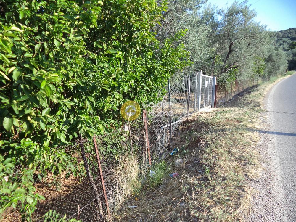 Αγροτεμάχια 7.010 τ.μ. προς πώληση, Φωνησκαριά