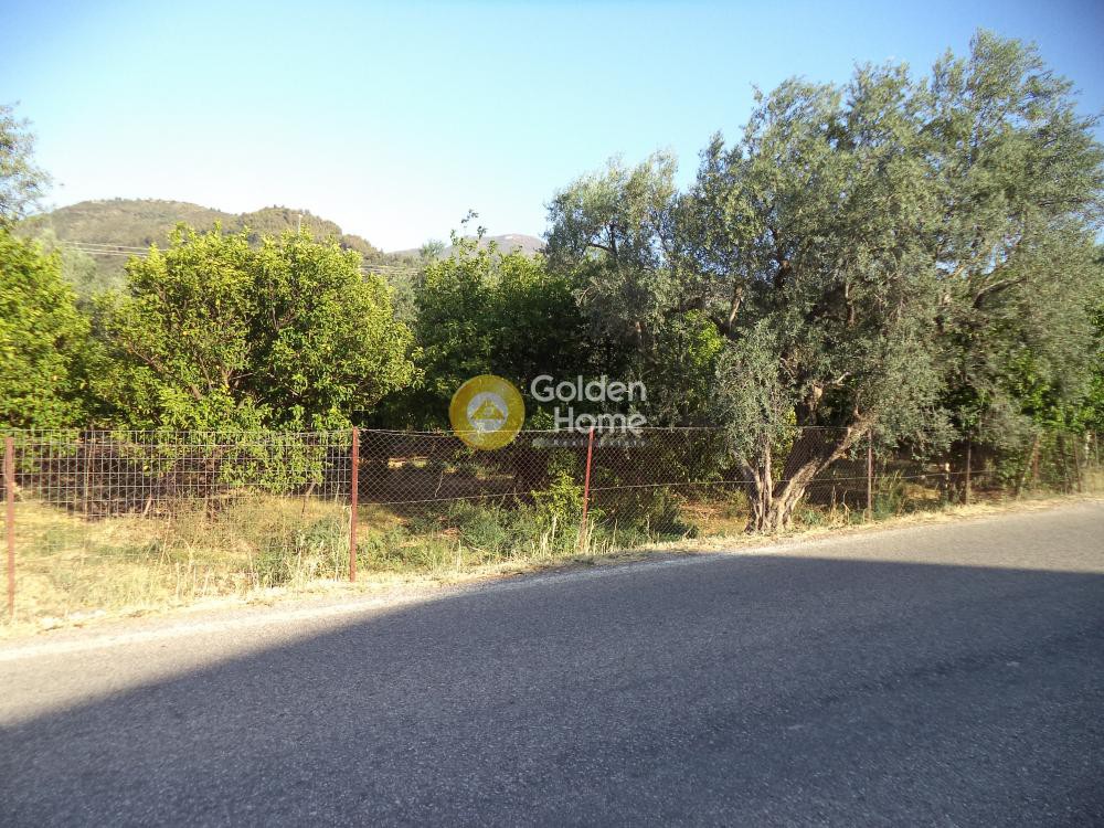 Αγροτεμάχια 7.010 τ.μ. προς πώληση, Φωνησκαριά