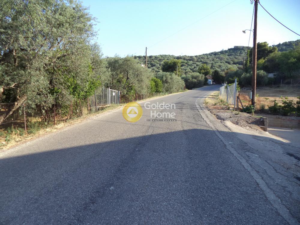 Αγροτεμάχια 7.010 τ.μ. προς πώληση, Φωνησκαριά