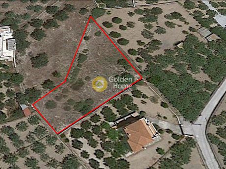 Land plot 1.200sqm for sale-Aegina » Livadi