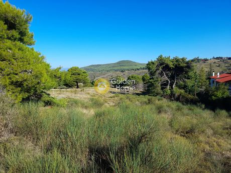 Land plot 4.191sqm for sale-Polidendri