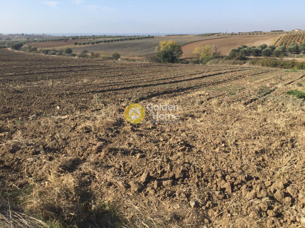 Αγροτεμάχια 4.440 τ.μ. προς πώληση, Μεσημέρι Επανομής